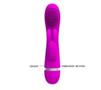 Pretty Love Smart Mini Vibrator Arvin
