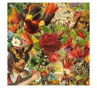 Pretty & Nice - Pretty & Nice - Us You All We [Japan CD] XQER-1052