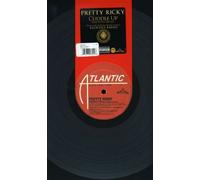 Pretty Ricky - Cuddle Up