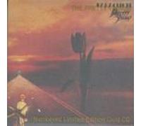 Pretty Things - Parachutes