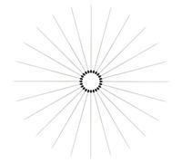 PRETYZOOM 200 Aghi per Campioni Entomologici in Acciaio Inox Set da 2 Confezioni Fiale Protettive per Collezione e Montaggio Insetti, Kit Strumenti per Realizzazione Esemplari di Diverse