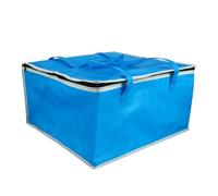PRETYZOOM Borsa Termica Portatile Blu Non Tessuto e Foglio di Alluminio Isolamento e Resistenza All'usura per Picnic All'aperto e Uso Domestico