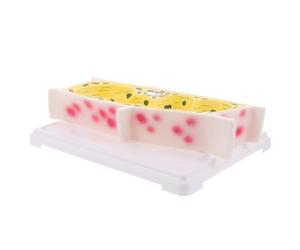 PRETYZOOM Modello di Cellula Vegetale in Pvc Ingrandimento Realistico Struttura Cellulare Gialla per Insegnamento in Aula di Biologia e Esperimenti Scientifici