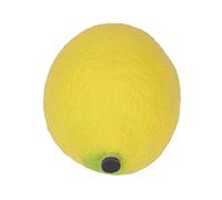 Prevessel Fruit Shaker Maraca Set di Risorse Didattiche Colorate per Bambini Dai 6 Mesi in su, Angoli Arrotondati Sicuri, Stimola la creatività per i Bambini, Opzioni di Frutta Assortite (Limone)