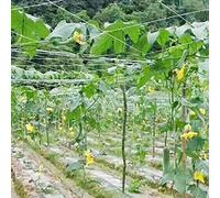 Prevessel Rete Rampicante per Piante Rete di Supporto Durevole per la Crescita delle Verdure da Giardino per Piante Rampicanti per Uso In Serra All'aperto In Polietilene 11,5x328,1 Piedi