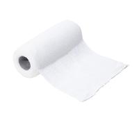 Previs - Previnzinc E, Benda Elastica in Poliammide e Viscosa con Pasta all’Ossido di Zinco, Misura 10 cm x 5 m, Confezione da 10 pezzi in Busta di Alluminio