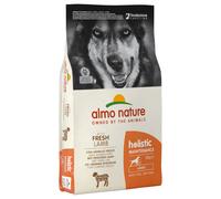Almo Nature Holistic Fai scorta! 2 x 12 kg Almo Nature Holistic - Large Adult con Agnello e Riso