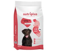Prezzo speciale! 3 kg / 15 kg Nutriplus Adult Dog - 15 kg con agnello