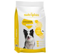 Prezzo speciale! 3 kg / 15 kg Nutriplus Adult Dog - 15 kg con pollo