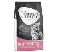 Prezzo speciale! 9 / 10 kg Concept for Life Crocchette per gatti - 10 kg Maine Coon Kitten