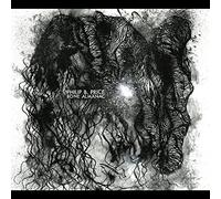 Price, Philip B. - Bone Almanac