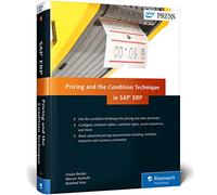 Pricing and the Condition Technique in SAP ERP