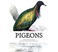 Prideaux John Selby Pigeons (Tascabile) Pigeon Classics