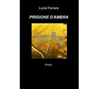 Prigione d'ambra