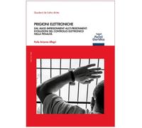 Prigioni elettroniche dal mass imprisonment all'e-prisonment: evoluzioni del con