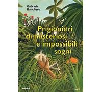 Prigionieri di misteriosi e impossibili sogni