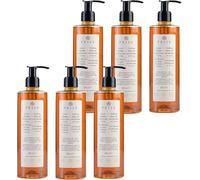 Prija Doccia Shampoo Vitalizzante 2 in 1 con Estratto di Ginseng, Gel Idratante ed Energizzante per Corpo e Capelli con Dispenser a Pompa, Doccia Gel di Lusso 6 x 380ml