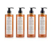Prija Doccia Shampoo Vitalizzante 2 in 1 con Estratto di Ginseng, Gel Idratante ed Energizzante per Corpo e Capelli con Dispenser a Pompa, Doccia Gel di Lusso 4 x 380ml