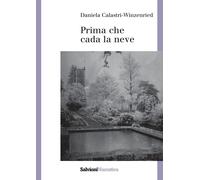 Prima che cada la neve - [Salvioni]
