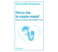 Prima che la coppia scoppi! Analisi e proposte sulle famiglie in crisi