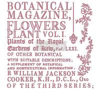 Prima Marketing Re-Design Decor Clear Cling Stamps 12"X12"-Botanical Encyclopedia