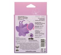 Prima Volta Che Ruota Farfalla Venere