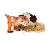 Primal Hatch Interactive Hatching Dino, Multicolore, 6072462