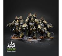Primaris Aggressors Warhammer 40K COMMISSIONE dipinto