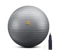 primasole Palla da ginnastica per equilibrio, stabilità, fitness, allenamento, yoga, pilates, casa, ufficio e palestra, con pompa di gonfiaggio, 45 cm, grigio argento PSS91NH059AfF