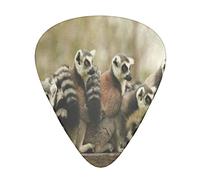 Primate Madagascar Lemur Plettrums Plettri per chitarra acustica elettrica basso (12 punti)