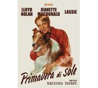 Primavera di sole (DVD)