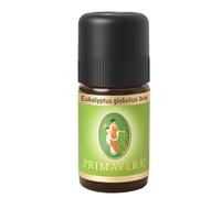 Primavera Eucalyptus globulus bio