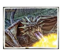 Prime 3d Puzzle Lenticolare Drake Harry Potter 300 Pezzi