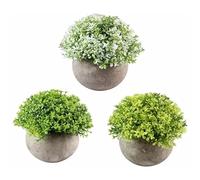 PRIMEGA Bonsai 003 - Pianta in vaso di lacrime di bambino bianche, 1003 piante in vaso di lacrime di bambino verdi, 1, 003 piante in vaso di lacrime di bambino, gialle