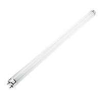 PrimeMatik - Tubo Fluorescente per Lampada elettroinsetticida antizanzare UV T8 20W BL 587mm