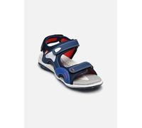 Primigi - B&G FREE SAND SPORT Multicolore - Sandali e scarpe aperte 31 Multicolore