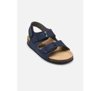 Primigi - BIRKY Blu - Sandali e scarpe aperte 21 Blu