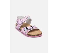 Primigi - BIRKY Viola - Sandali e scarpe aperte 21 Viola