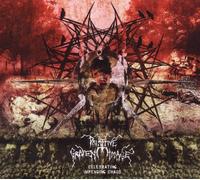 Primitive Graven Image - Celebrating Impending Chaos