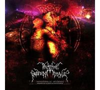 Primitive Graven Image - Psychedelic Episodes