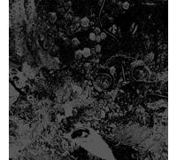 Primitive Man/Uneart - Split