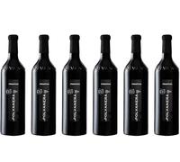Primitivo Igt 2020 BIO Polvanera bott. 6 x 0,75 l