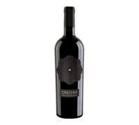 Primitivo Riserva 2019 Primitivo di Manduria DOC Calitro
