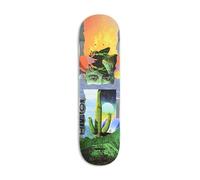 Primitivo Spencer Hamilton Mystic 21.3cm Tavola Skateboard