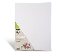 PRIMO Hobby & Professional- Tela per Dipingere in Cartoncino 30x40x0,4 100% Cotone, Cartone Telato Pittura Colori Acrilici Olio Acquerelli - Tele per Dipingere Hobby Creativi Acid Free non Ingiallisce