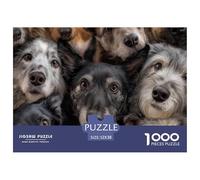 Primo Piano Cani Puzzle 1000 Pezzi Carta per Adulti Volti di Più Cani Gioco di Puzzle 1000 Pezzi Relax Concentrazione Famiglia Regalo Decorazione Casa 52x38cm/1000pcs
