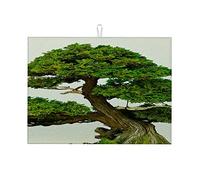 Primo piano di un albero bonsai contro un muro bianco. Tappetino per asciugare i piatti. Grande tappetino per asciugare i piatti sul bancone della cucina. EasySmall, 16 x 18 pollici.