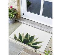 Primo Piano Di Una Succulenta Verde Tappeto Doccia Scarpe Raschietto Zerbino Raschiafango Zerbino Ingresso Per Interno Cucina Porte Esterne 40 X 60Cm