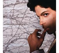 Prince - Musicology