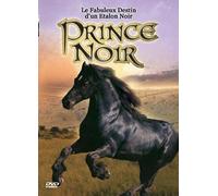 Prince noir : le fabuleux destin d'un étalon noir